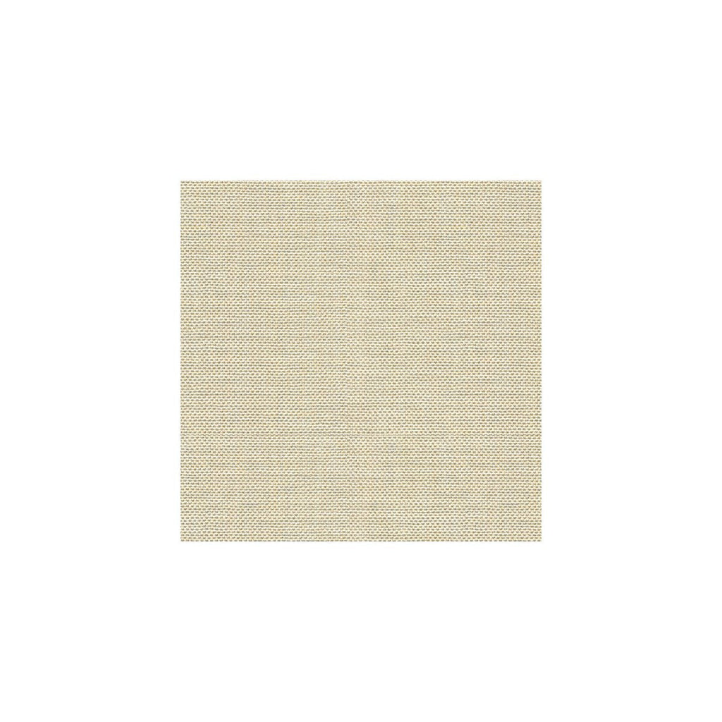 Kravet Basics - 30299-1116