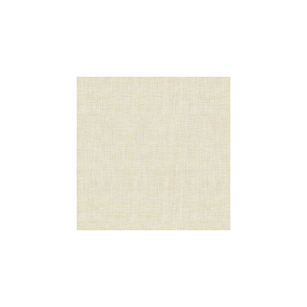 Kravet Basics - 30299-111