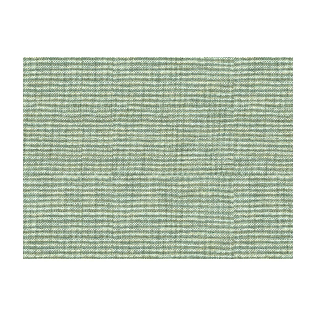 Kravet Basics - 30299-13