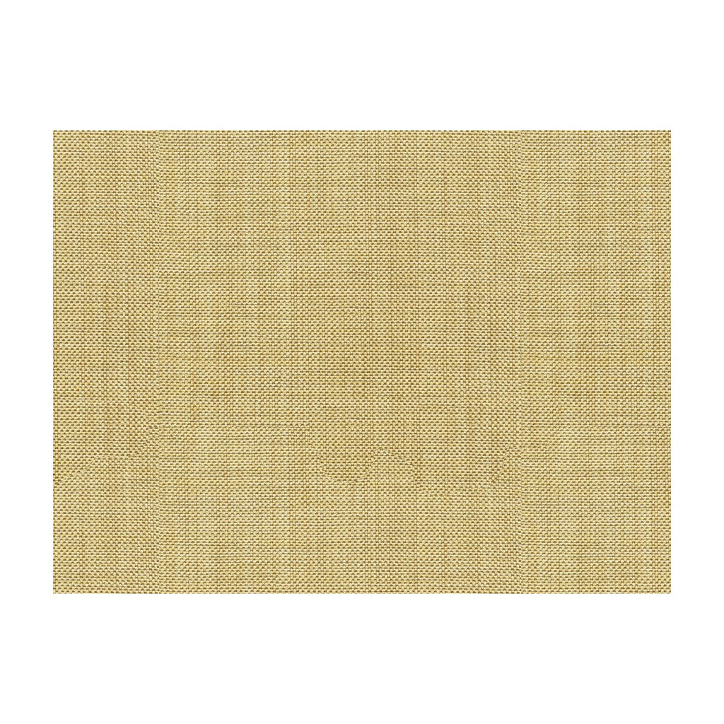 Kravet Basics - 30299-1611