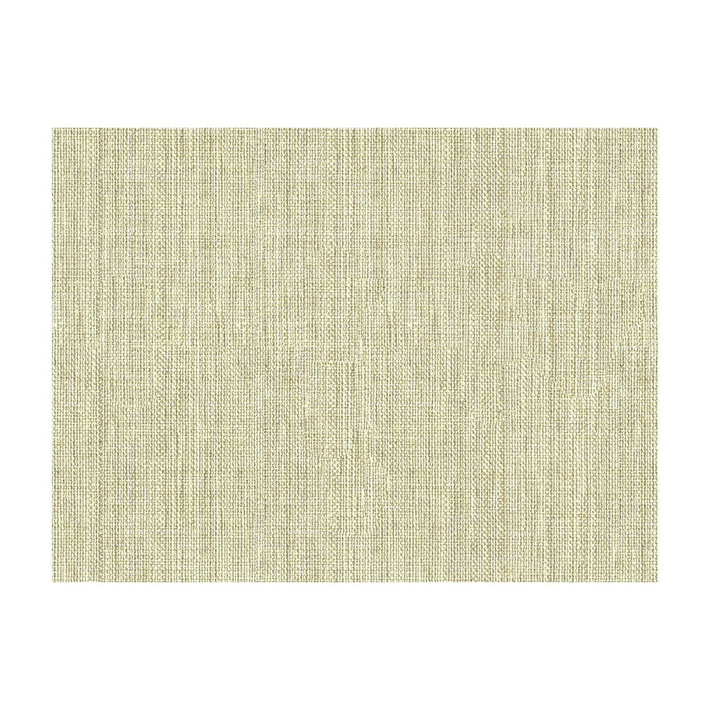 Kravet Basics - 30299-161