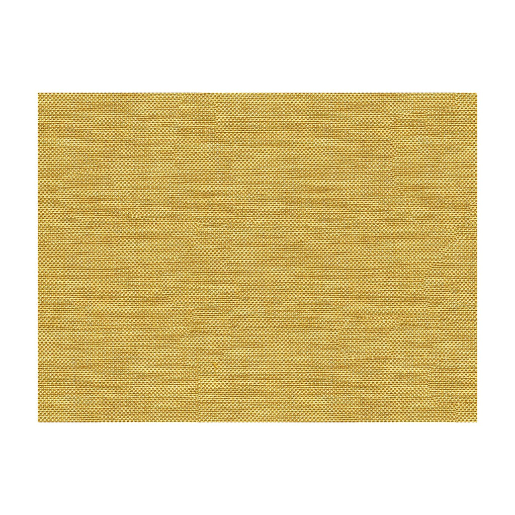 Kravet Basics - 30299-4