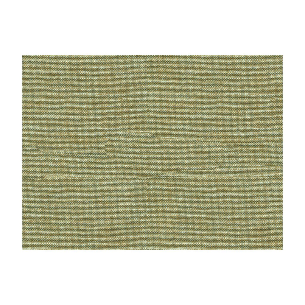 Kravet Basics - 30299-613