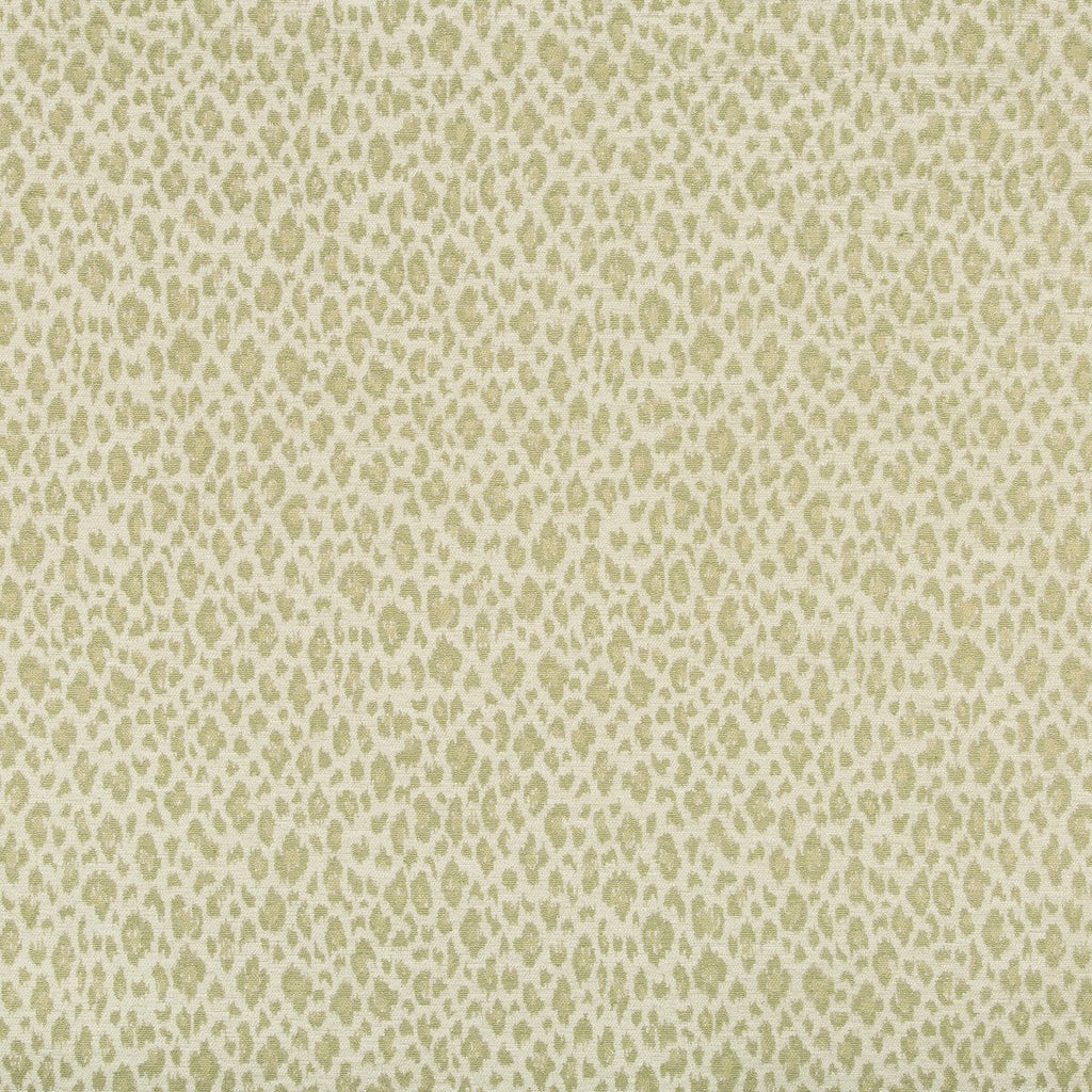 Kravet Design - 31382-123