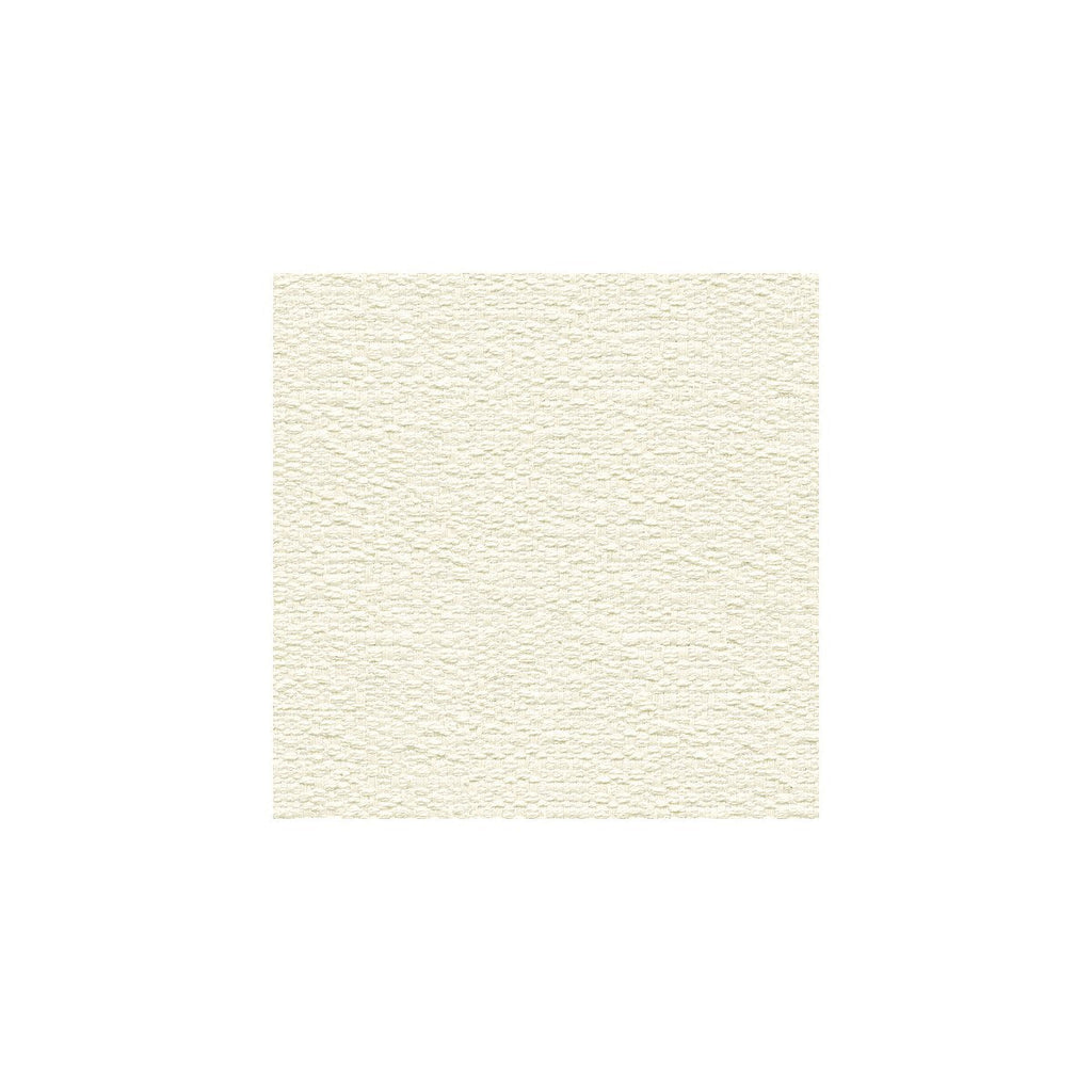 Kravet Basics - 32295-101