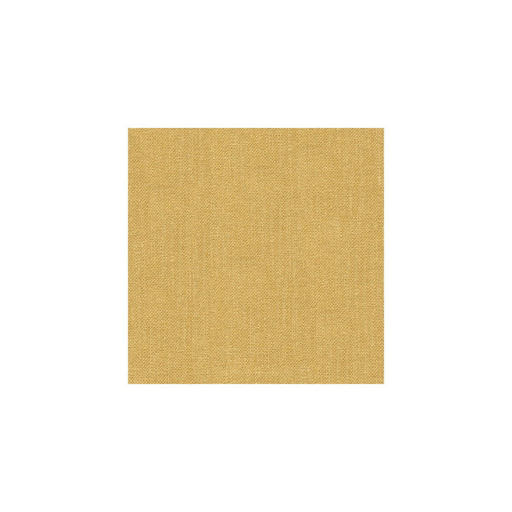 Kravet Basics - 33120-404