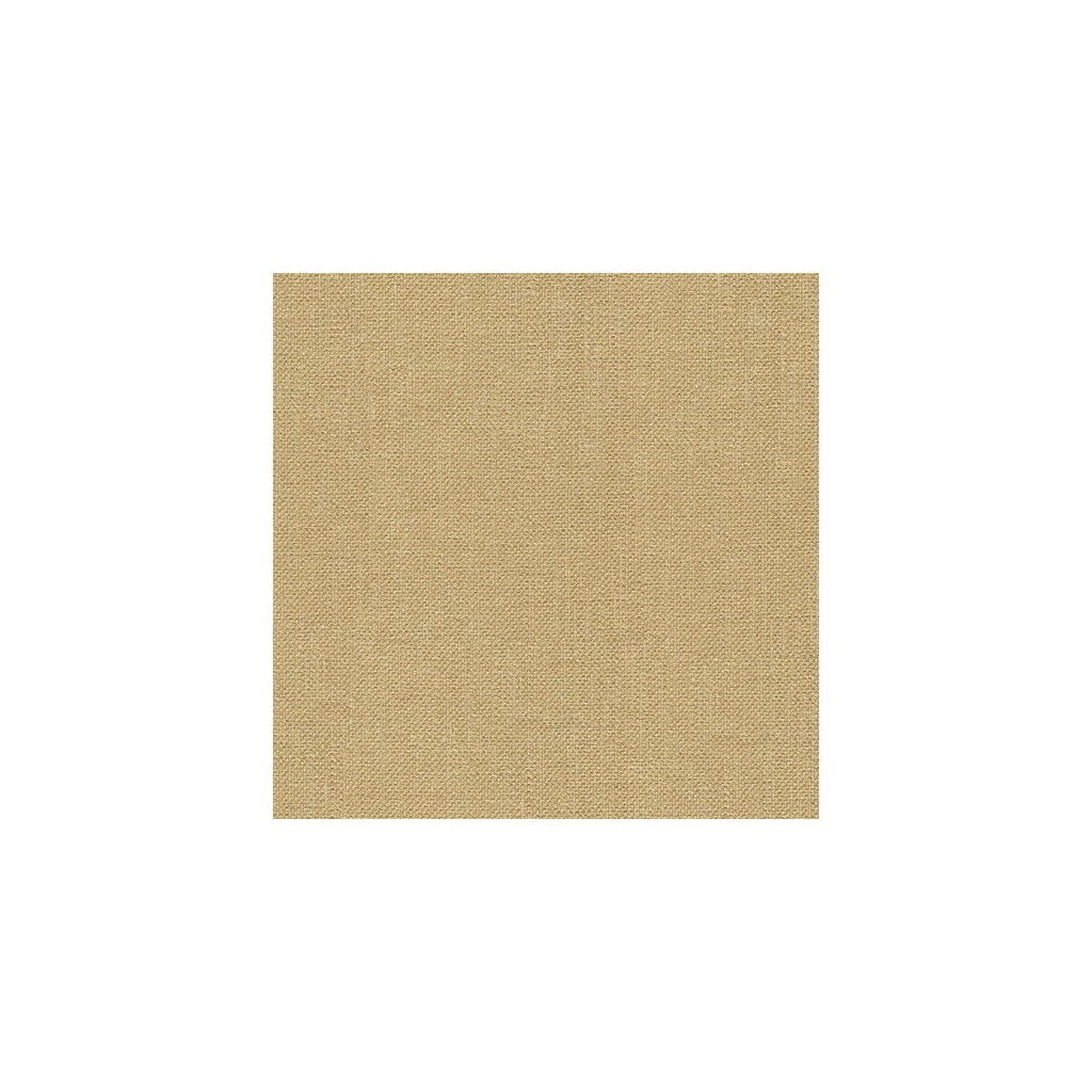 Kravet Basics - 33120-616