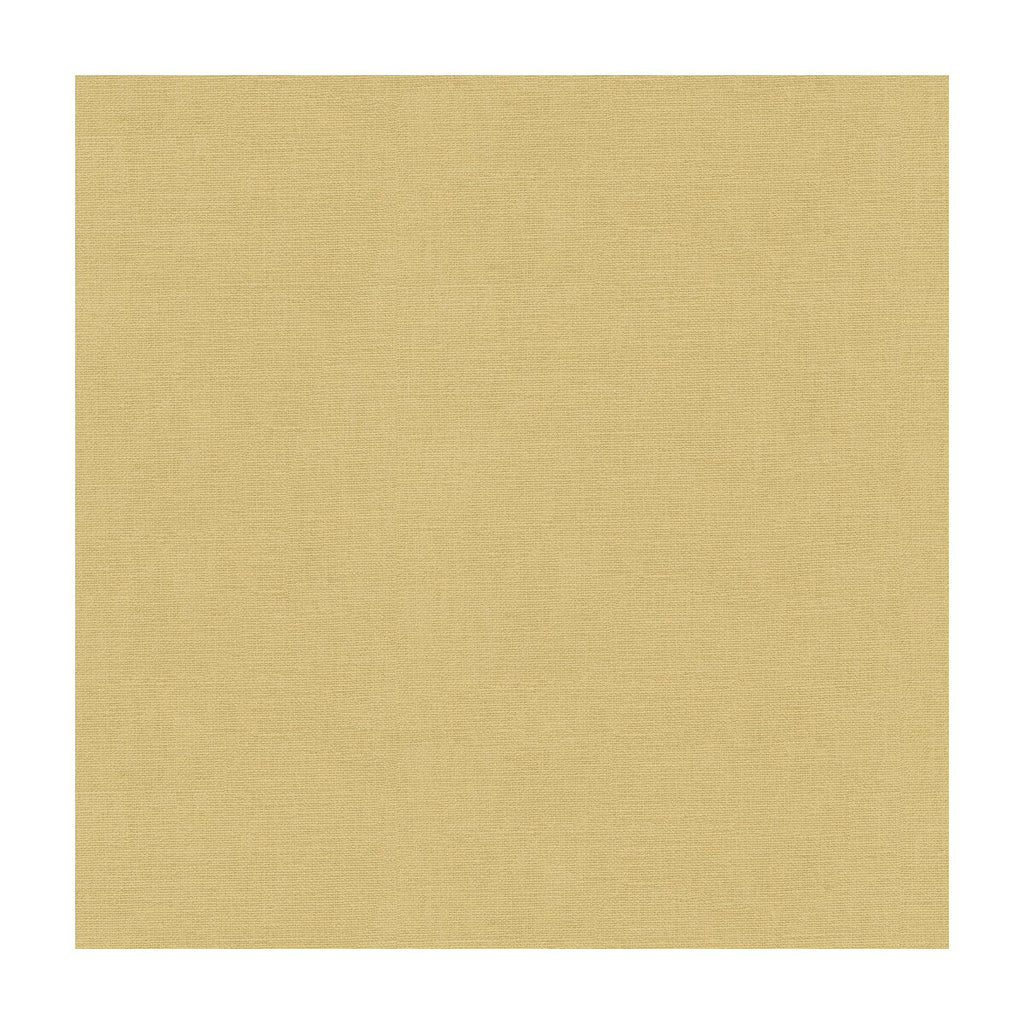 Kravet Basics - 33224-1116