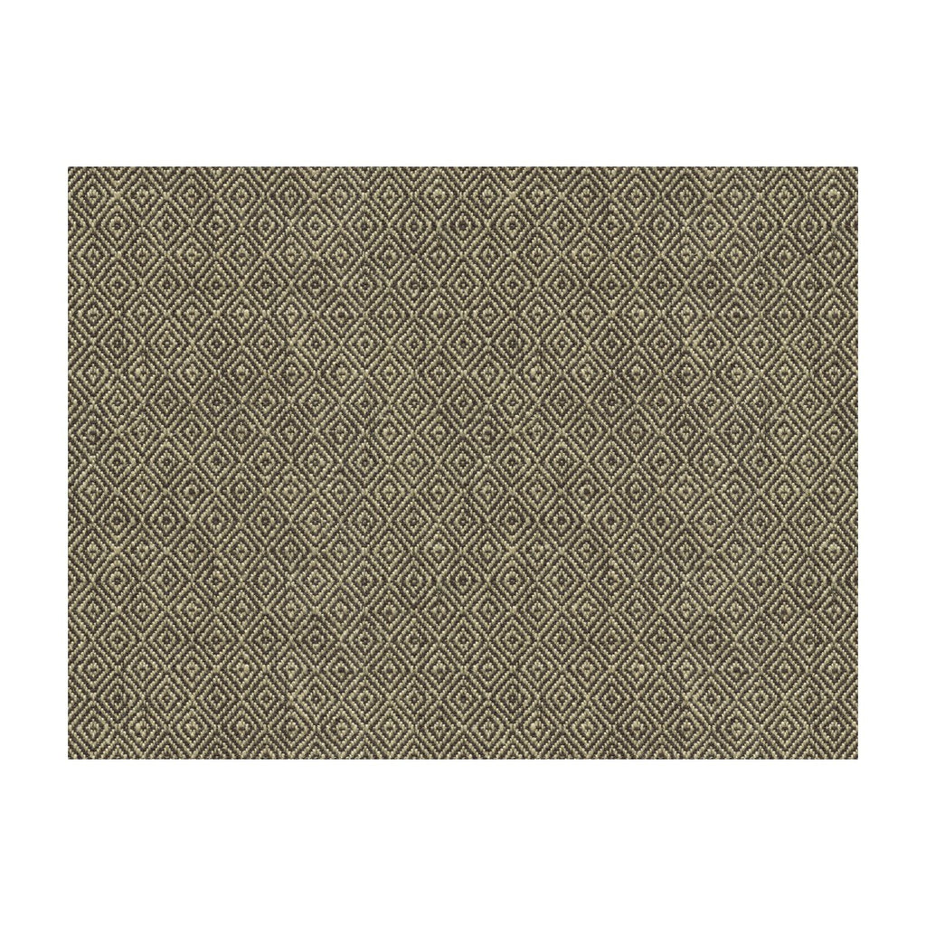 Kravet Basics - 33307-1611