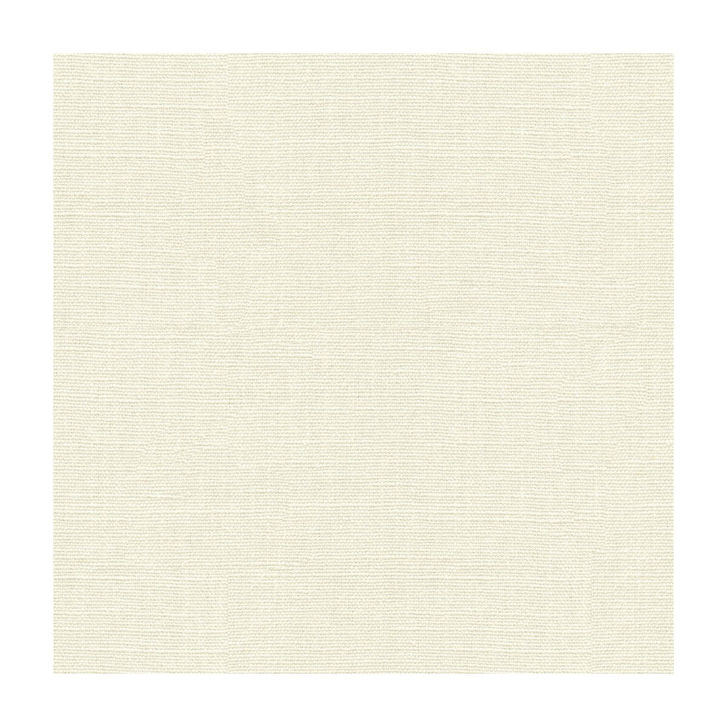 Kravet Basics - 33771-101