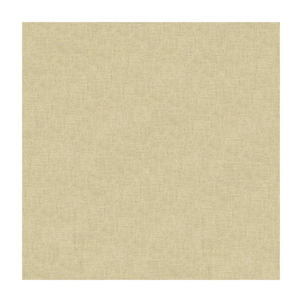 Kravet Basics - 33824-16