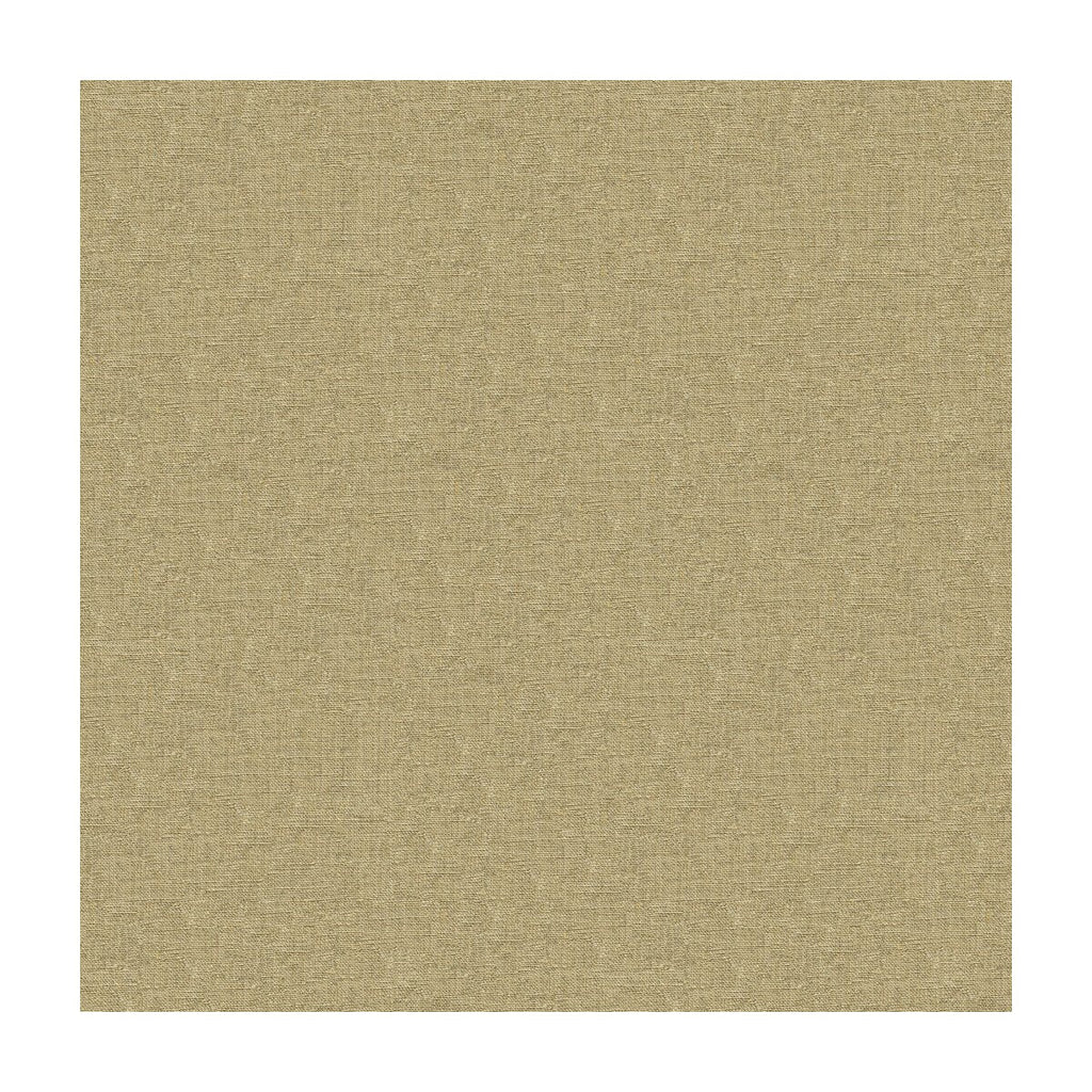 Kravet Basics - 33829-16