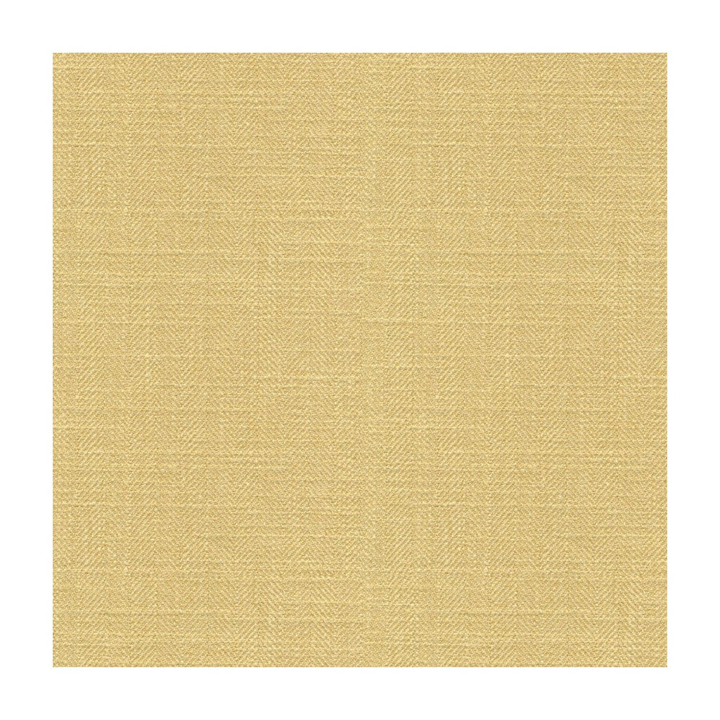 Kravet Basics - 33842-414