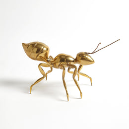 Pharaoh Ant : Pharaoh Ant (Large / Antique Brass)