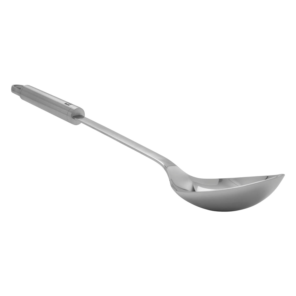 Stainless Spoon