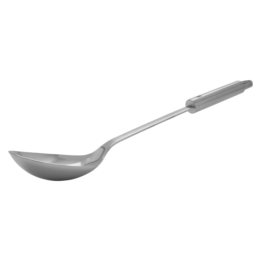 Stainless Spoon