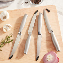 4-Piece Steak Knife Set Modernist