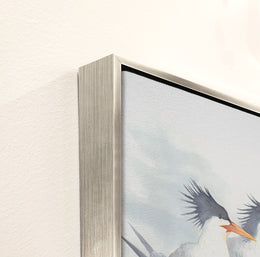 Elegant Terns I