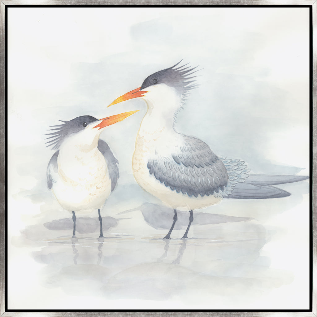 Elegant Terns II