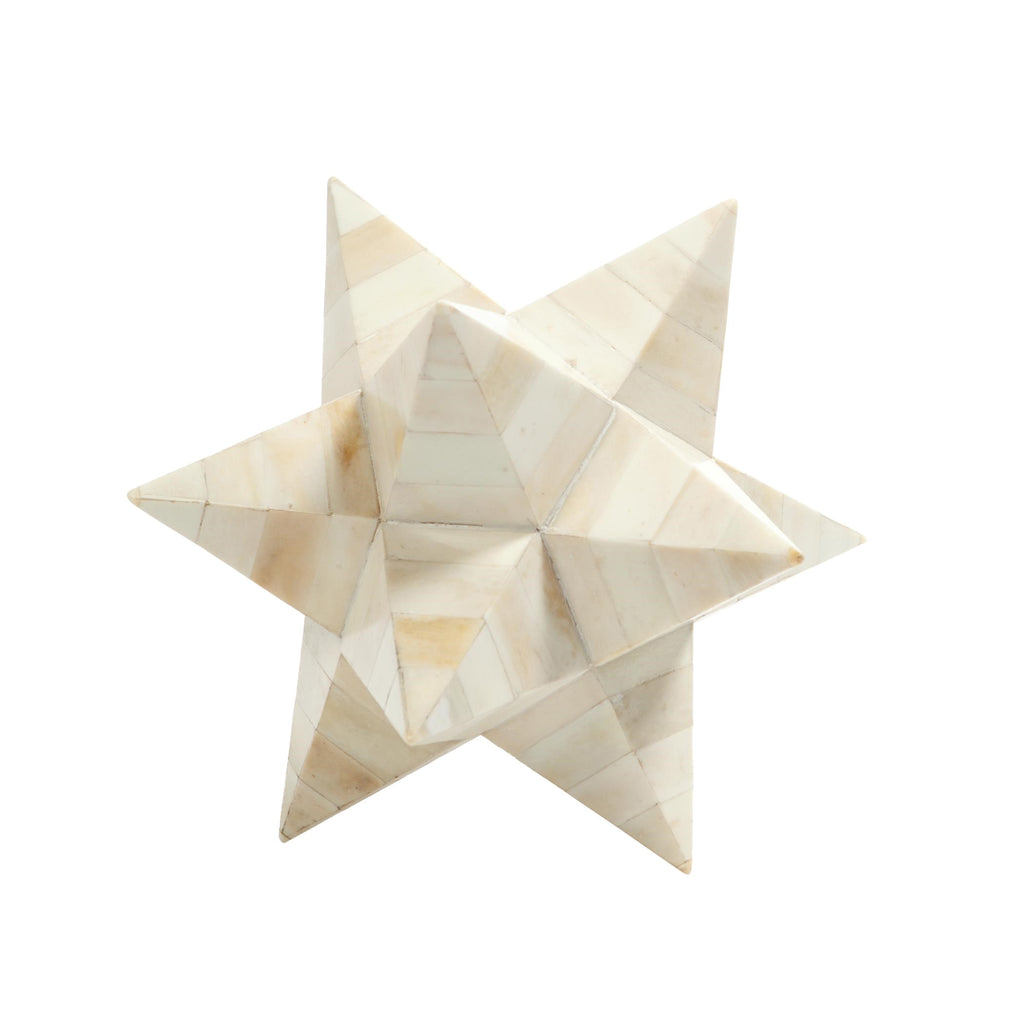 Stellated Dodecahedron : Stellated Dodecahedron (White Bone)