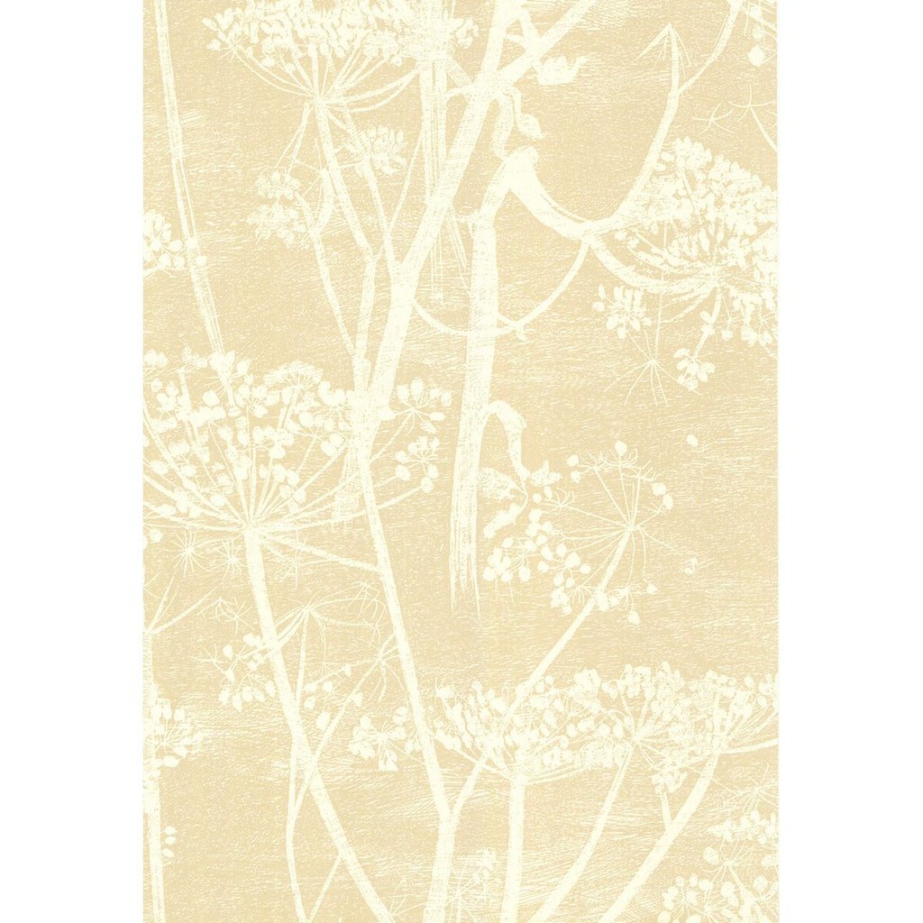 Cow Parsley - White/Bge