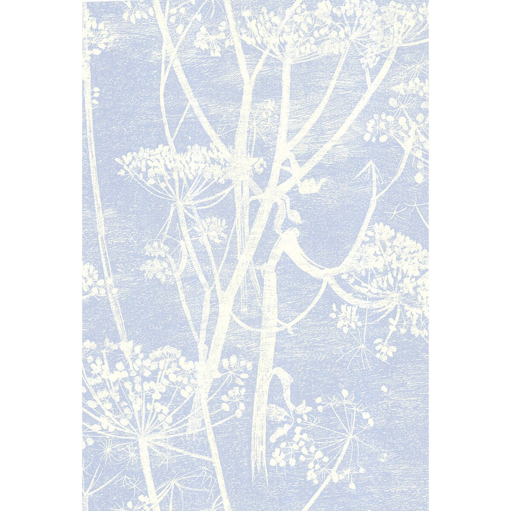 Cow Parsley - White/Blu