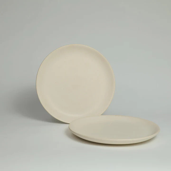 Stoneware Dinner Plate Set of 2