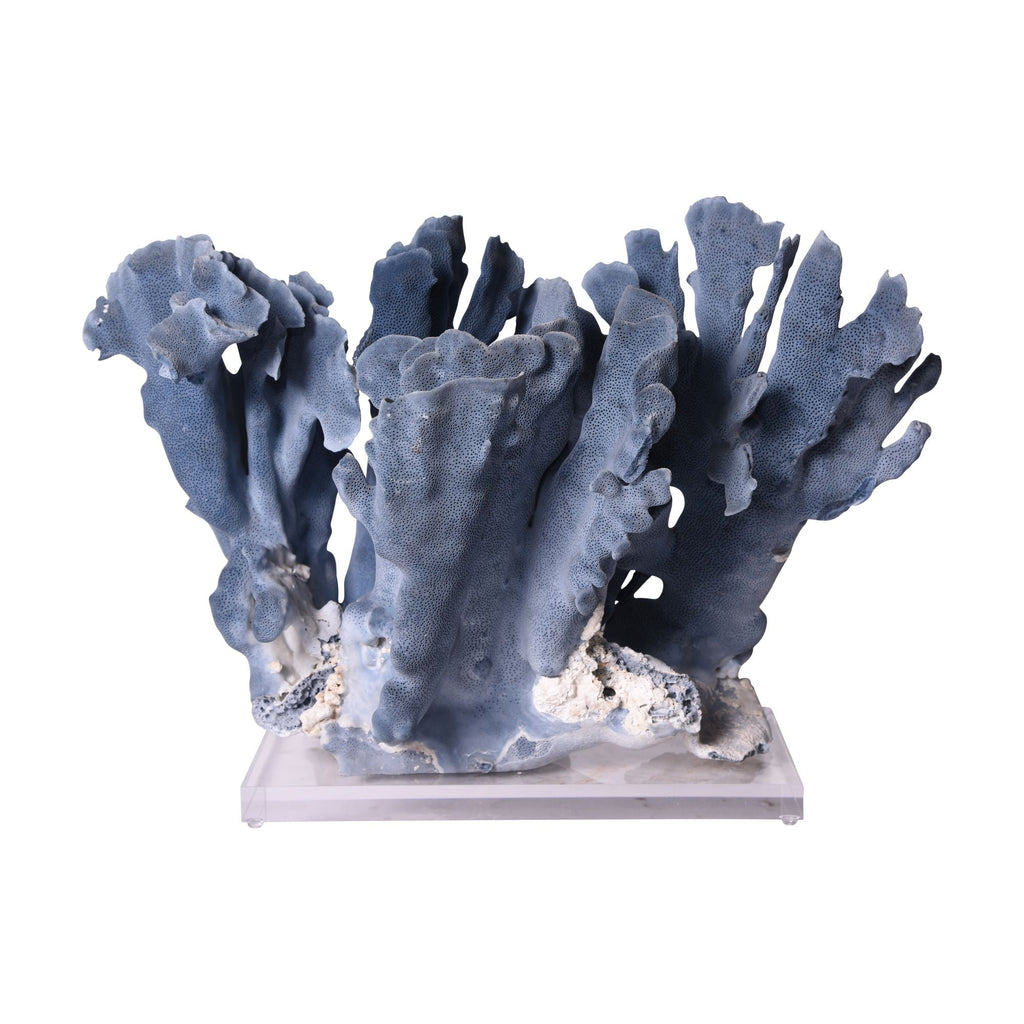 Blue Coral Creation On Acrylic Base S