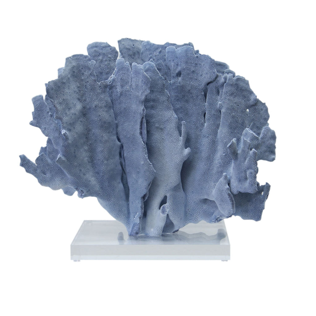 Blue Coral 10-12 Inch On Acrylic Base