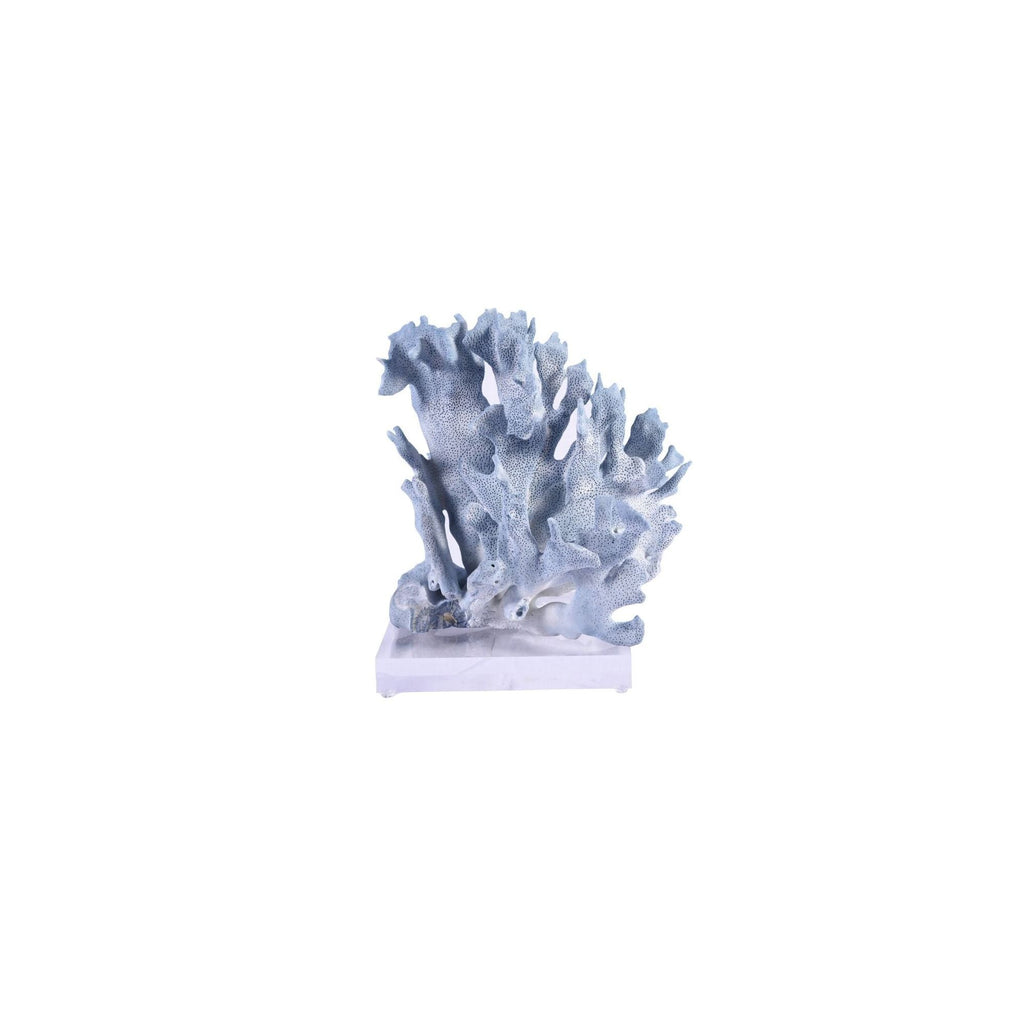 Blue Coral 7-10 Inch On Acrylic Base