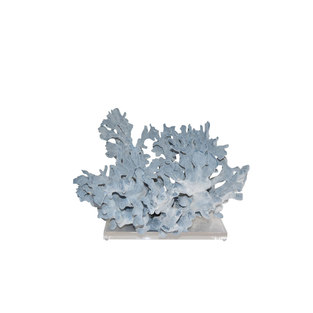 Blue Coral 18-20 Inch On Acrylic Base