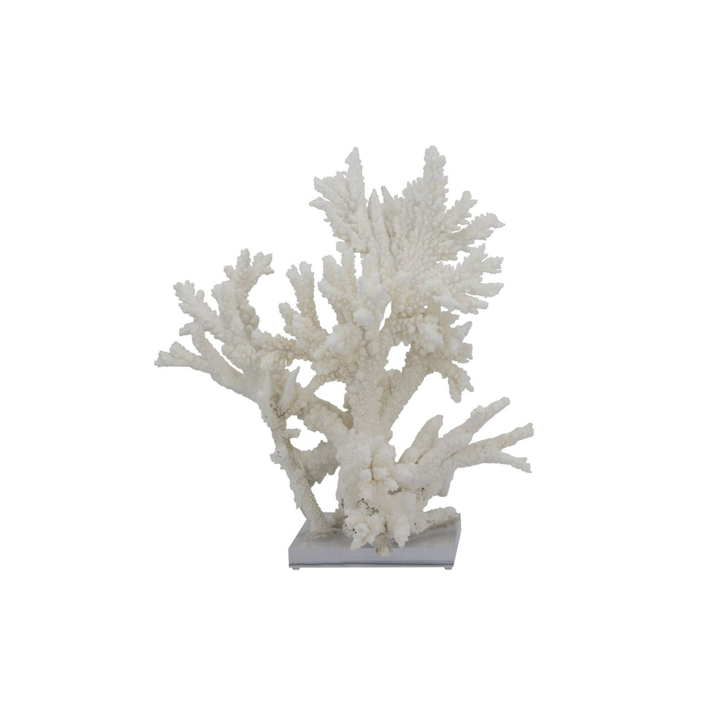 Branch Coral 17-20 inch On Acrylic Base