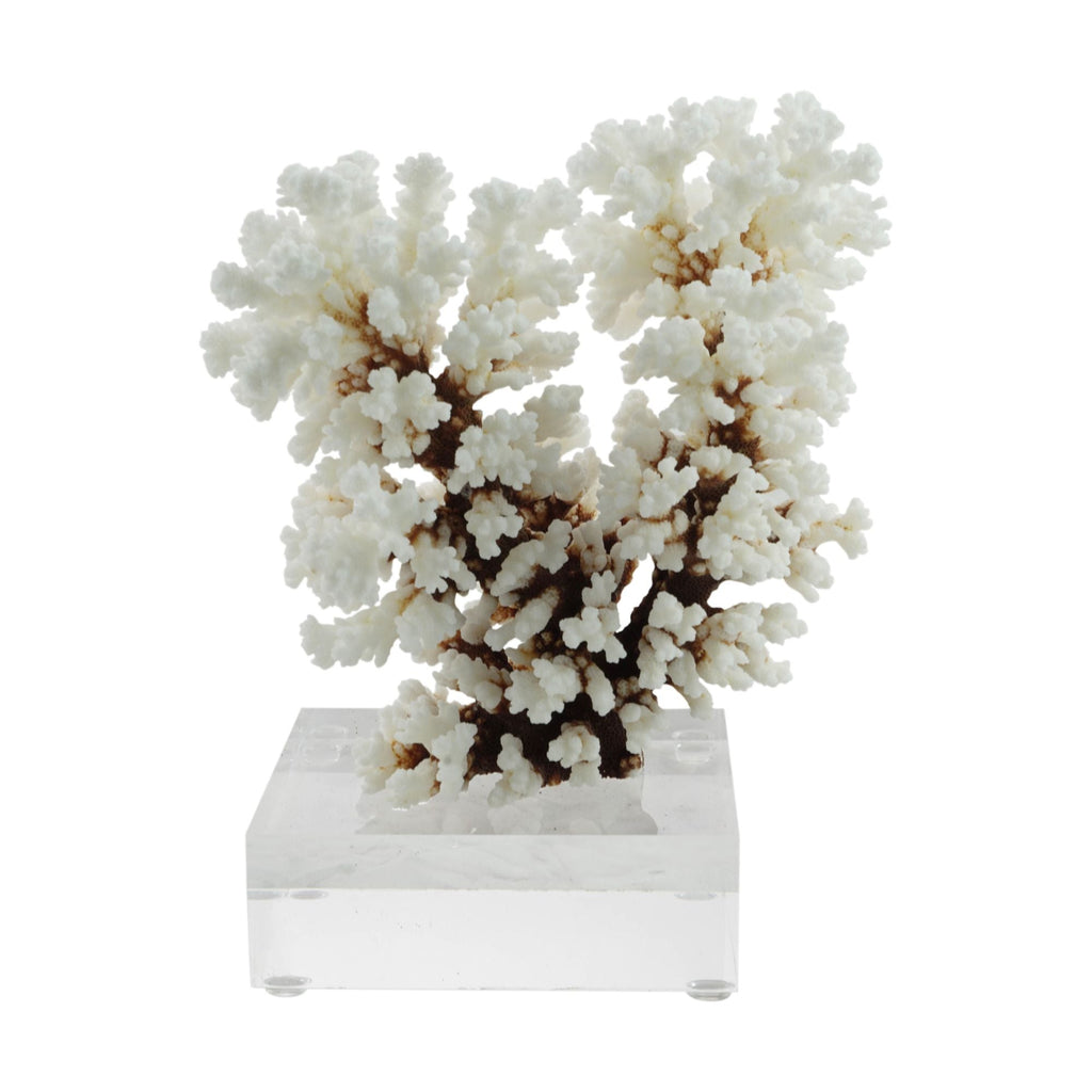 Cluster Coral 7-10 Inch On Acrylic Base