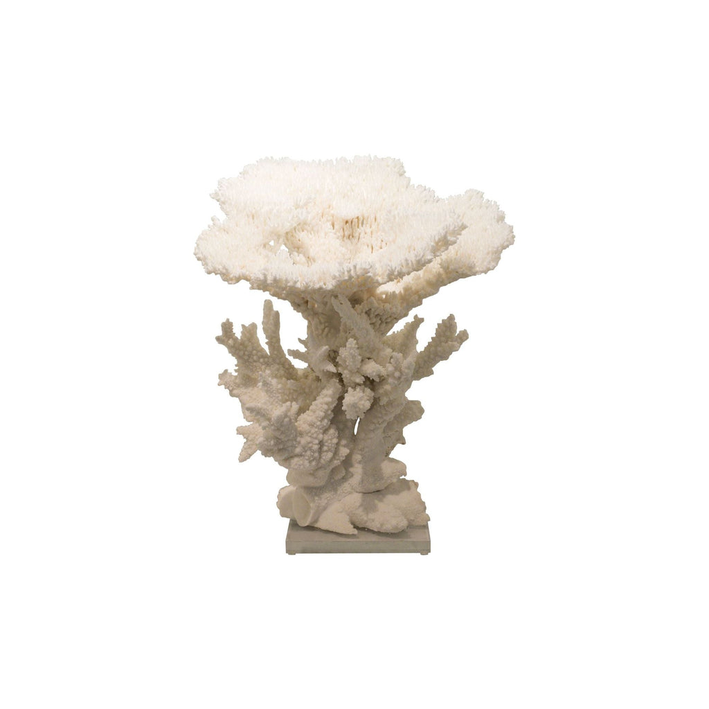 Table Display Coral Creation With Branch On Acrylic Base