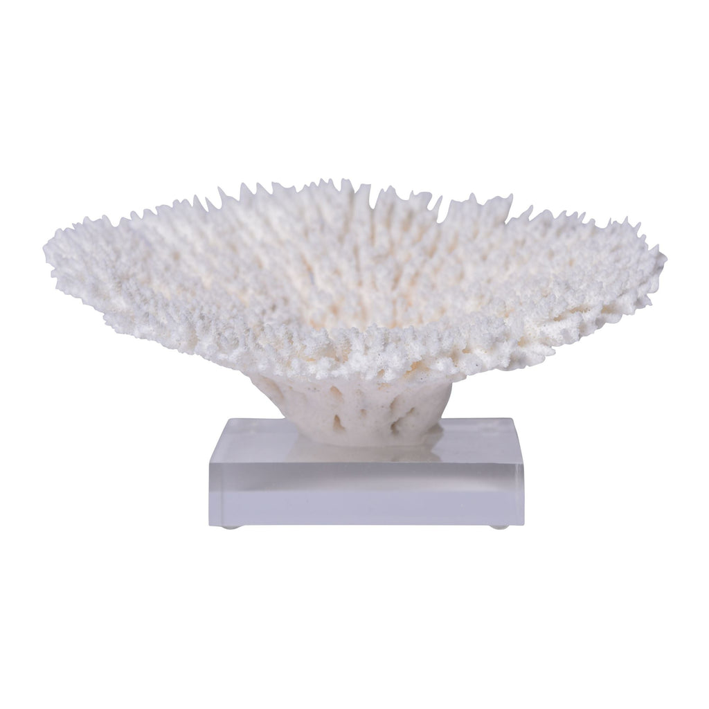 Table Coral Special 12-15 Inch On Acrylic Base