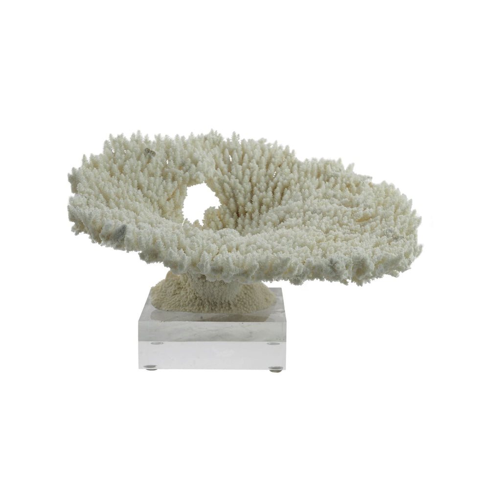 Table Coral Special 10-12 Inch On Acrylic Base