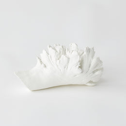 Volcano Flower : Volcano Flower (Medium / White)