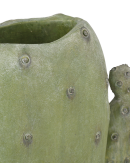 Cactus Vase Set of 3