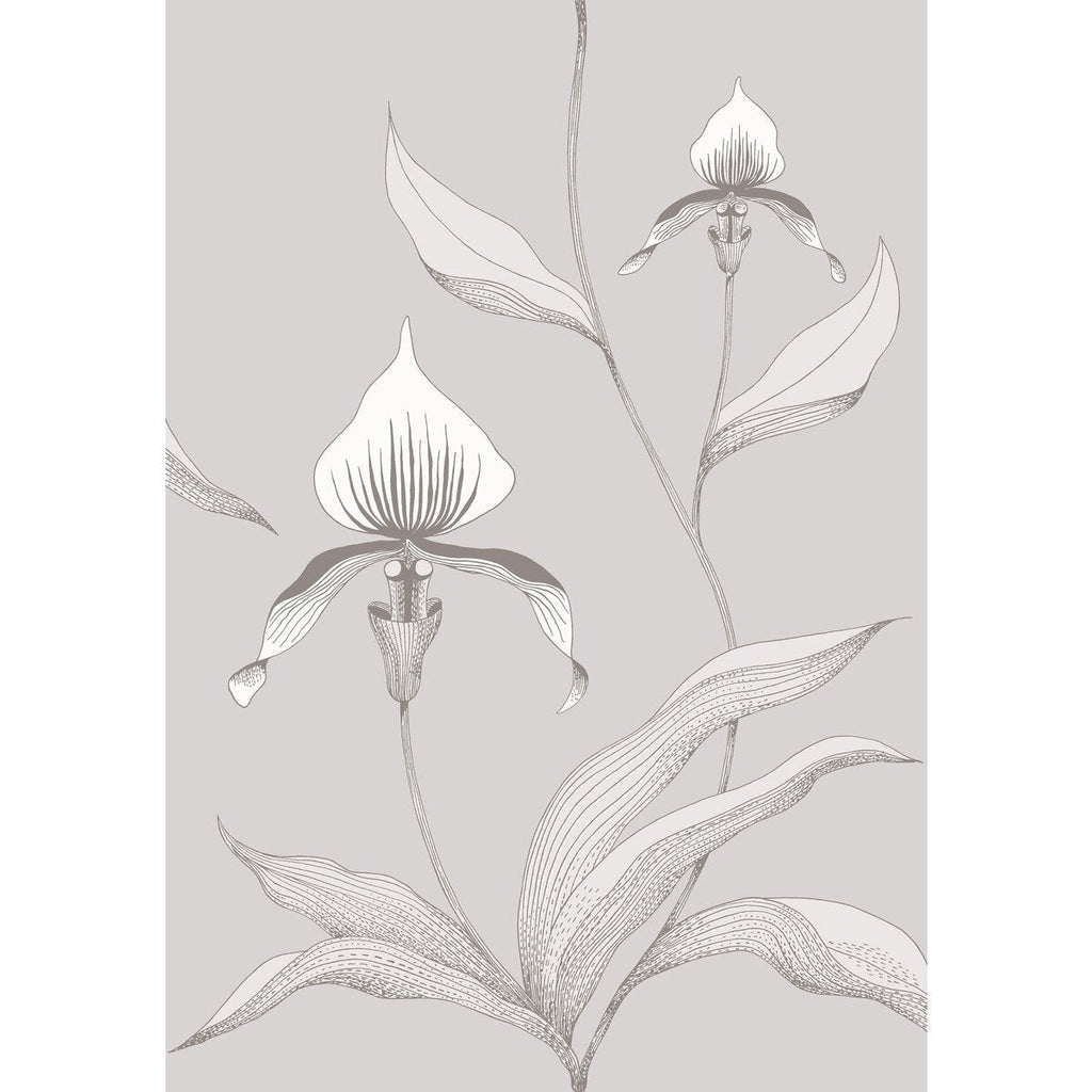 Orchid - Grey/White