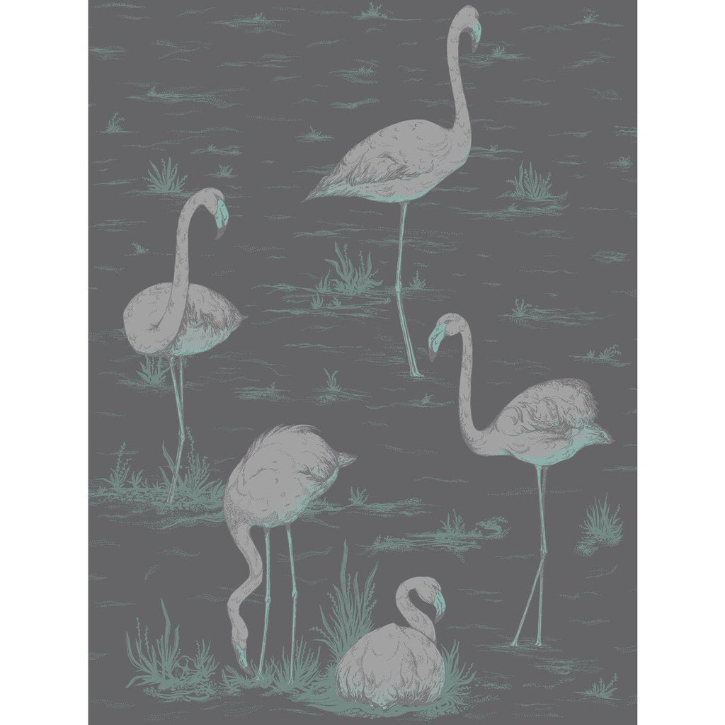 Flamingos - Teal/Slvr/Bk