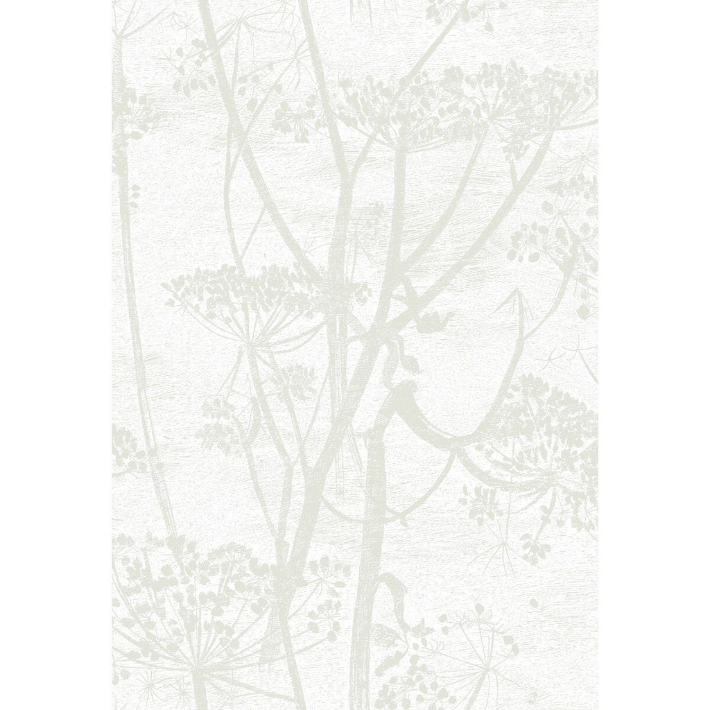 Cow Parsley - White - 95/9052.CS.0