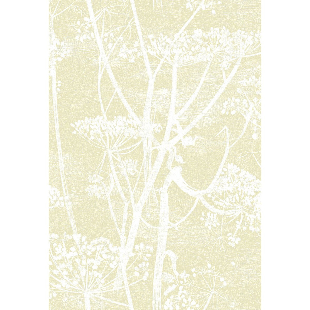 Cow Parsley - Straw/White