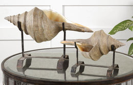 Conch Shell Sculpture, Set/2