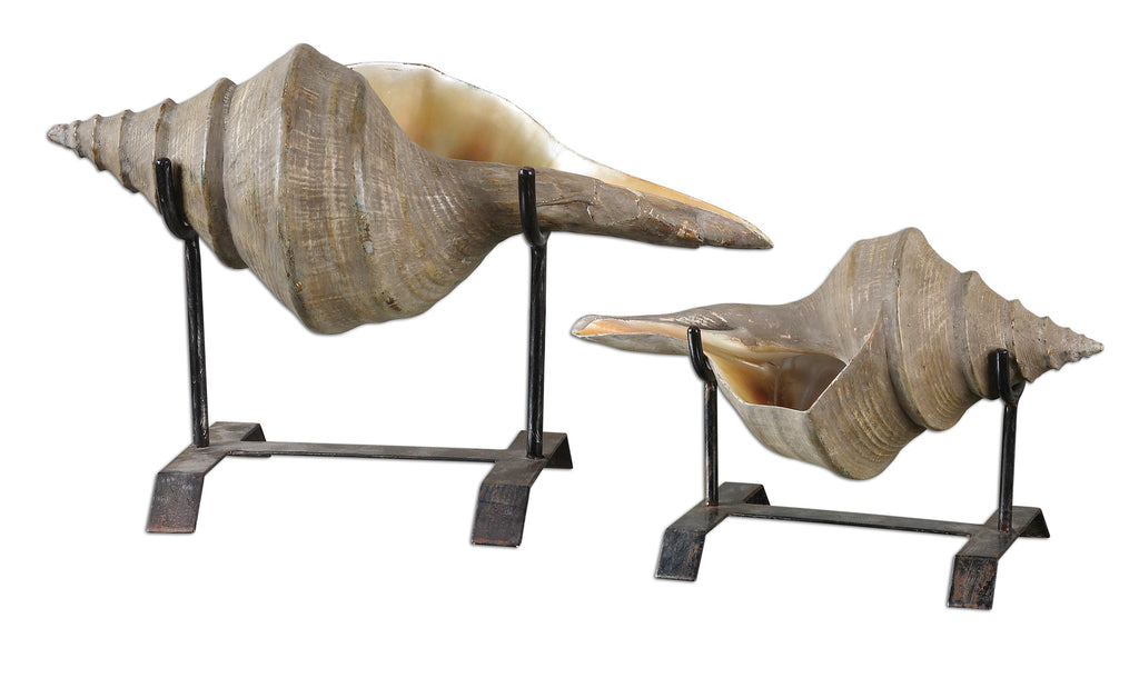 Conch Shell Sculpture, Set/2