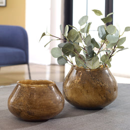 Tortoise Glass Vases,Set of 2