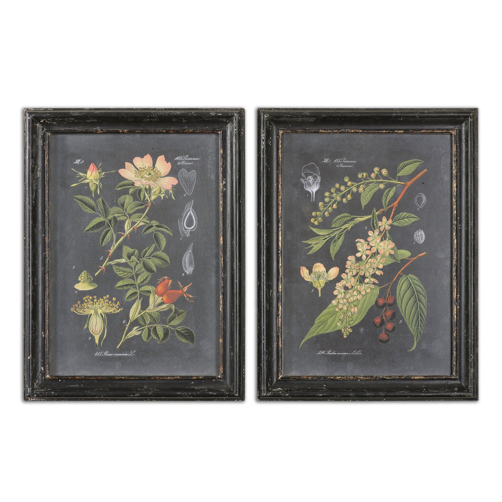 Midnight Botanicals Wall Art Set of 2