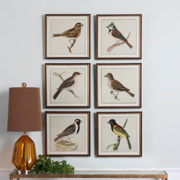 Spring Soldiers Bird Prints, Set of 6