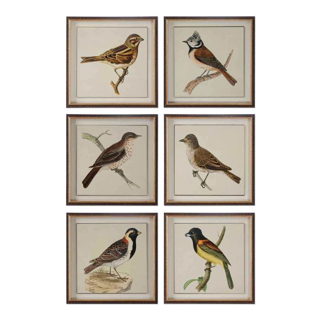 Spring Soldiers Bird Prints, Set of 6