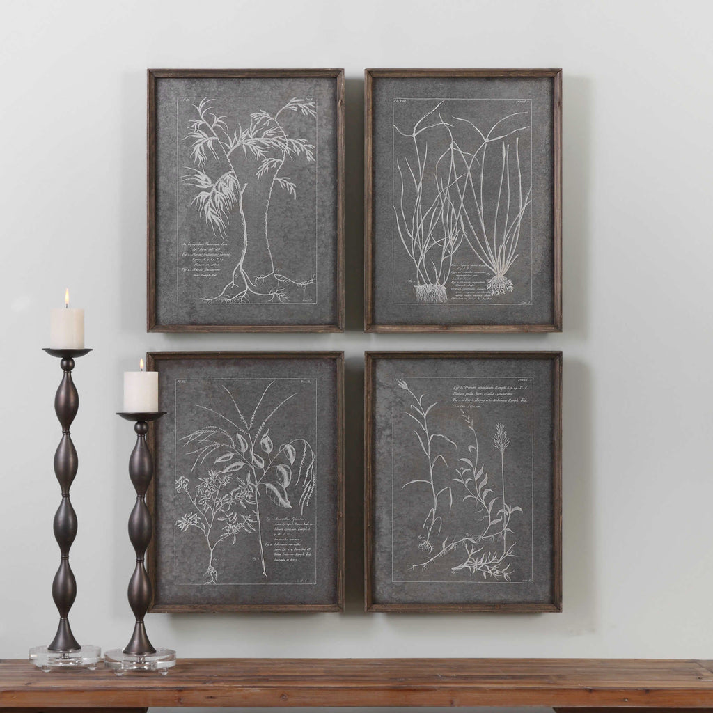 Root Study Print Art, Set of 4