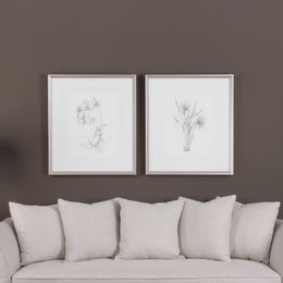 Botanical Sketches Framed Prints Set of 2